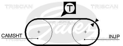 Correia de distribuição Triscan A/S ref. 8645 5034