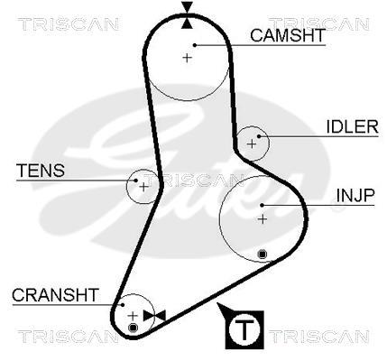 Correia de distribuição Triscan A/S ref. 8645 5039