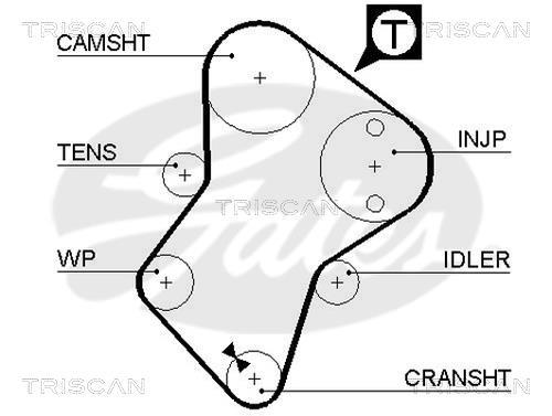 Correa de distribución Triscan A/S ref. 8645 5049xs