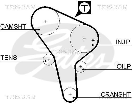 Correia de distribuição Triscan A/S ref. 8645 5176