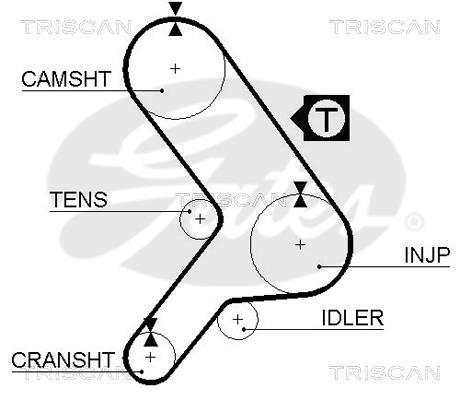 Correia de distribuição Triscan A/S ref. 8645 5299
