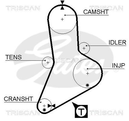Courroie de distribution (Courroie crantée) Triscan A/S ref. 8645 5334xs
