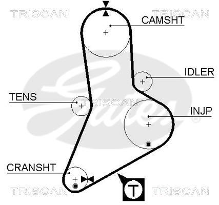 Correa de distribución Triscan A/S ref. 8645 5335xs