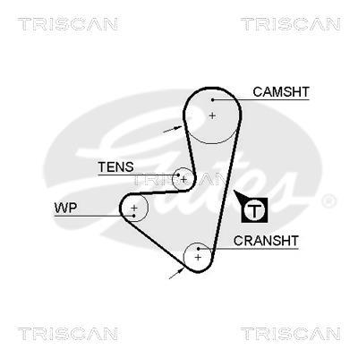 Courroie de distribution (Courroie crantée) Triscan A/S 8645 5347xs