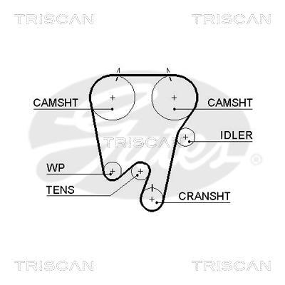 Correa de distribución Triscan A/S 8645 5378xs