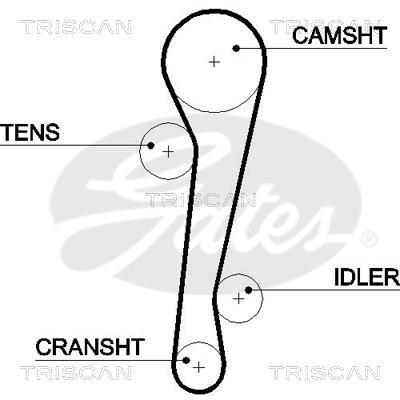 Correa de distribución Triscan A/S 8645 5457xs