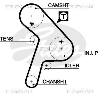 Courroie de distribution (Courroie crantée) Triscan A/S 8645 5471xs