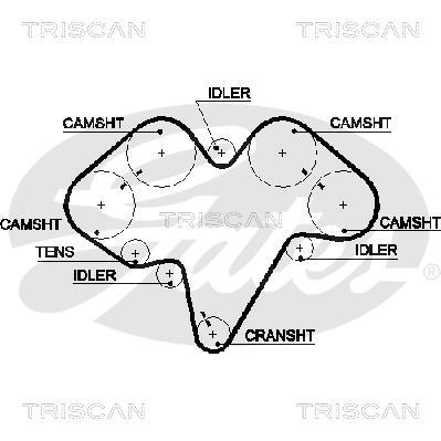 Correa de distribución Triscan A/S 8645 5476xs