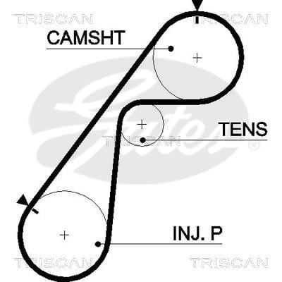 Correa de distribución Triscan A/S 8645 5478xs