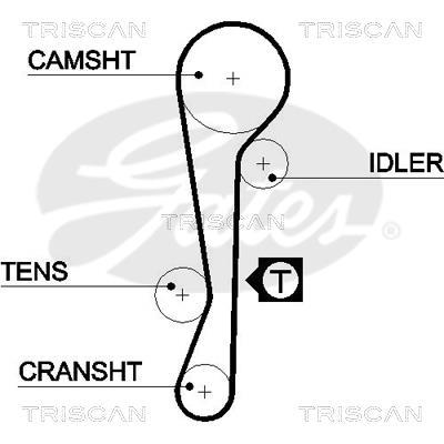 Courroie de distribution (Courroie crantée) Triscan A/S ref. 8645 5479xs