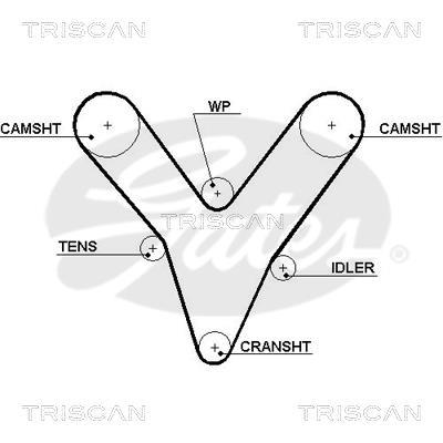 Correia de distribuição Triscan A/S ref. 8645 5527xs