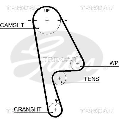 Correa de distribución Triscan A/S 8645 5529xs