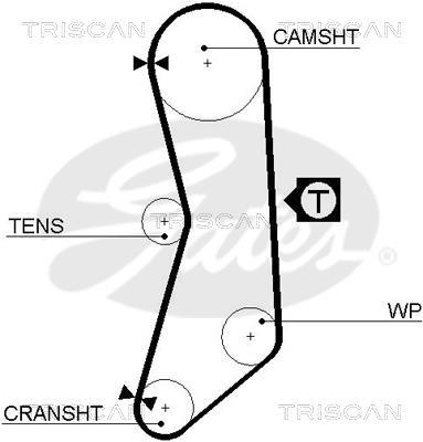 Courroie de distribution (Courroie crantée) Triscan A/S 8645 5544xs