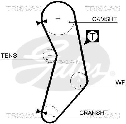 Correa de distribución Triscan A/S ref. 8645 5545xs