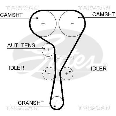 Courroie de distribution (Courroie crantée) Triscan A/S ref. 8645 5550xs