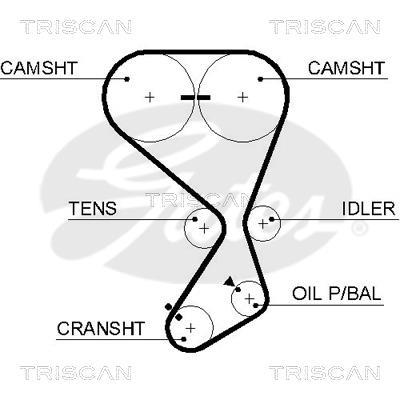 Correa de distribución Triscan A/S 8645 5556xs