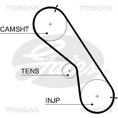 Courroie de distribution (Courroie crantée) Triscan A/S ref. 8645 5560xs