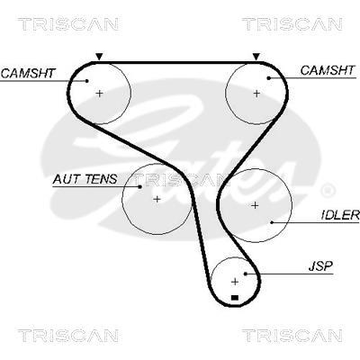 Correa de distribución Triscan A/S 8645 5573xs