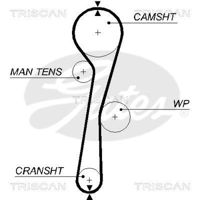Correa de distribución Triscan A/S 8645 5577xs