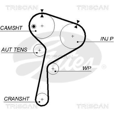 Correa de distribución Triscan A/S ref. 8645 5578xs