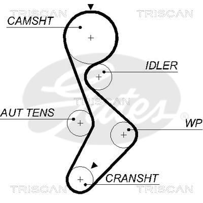 Courroie de distribution (Courroie crantée) Triscan A/S ref. 8645 5579xs