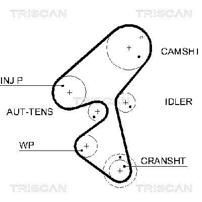 Courroie de distribution (Courroie crantée) Triscan A/S ref. 8645 5587xs