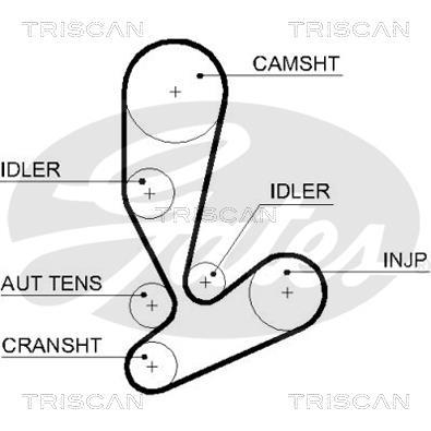 Courroie de distribution (Courroie crantée) Triscan A/S ref. 8645 5592xs