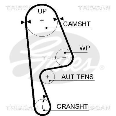 Courroie de distribution (Courroie crantée) Triscan A/S 8645 5593xs