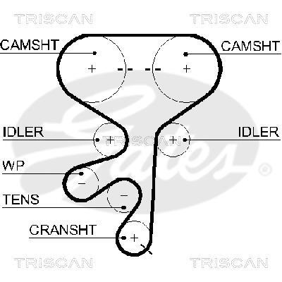 Correa de distribución Triscan A/S ref. 8645 5603xs