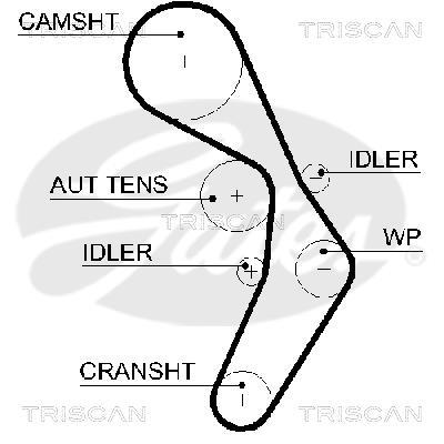 Courroie de distribution (Courroie crantée) Triscan A/S ref. 8645 5604xs