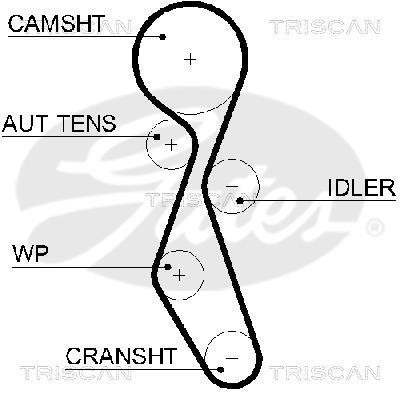 Courroie de distribution (Courroie crantée) Triscan A/S ref. 8645 5606xs