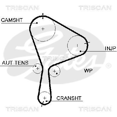 Courroie de distribution (Courroie crantée) Triscan A/S ref. 8645 5610xs