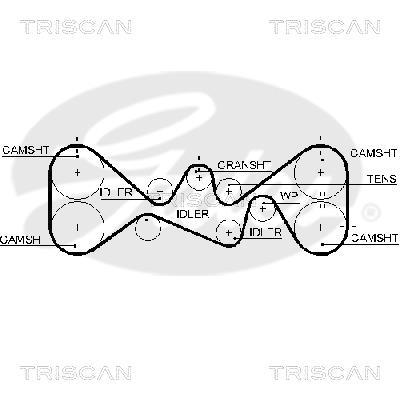 Correa de distribución Triscan A/S 8645 5612xs