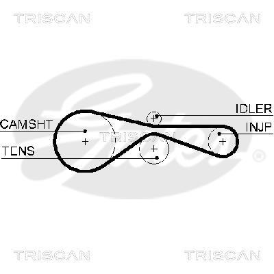 Correa de distribución Triscan A/S ref. 8645 5614xs
