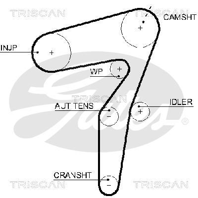Courroie de distribution (Courroie crantée) Triscan A/S ref. 8645 5623xs