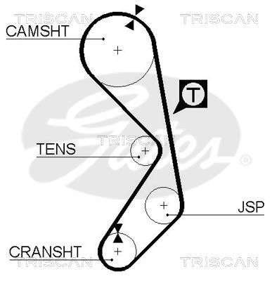Kit de distribuição Triscan A/S ref. 8647 15002