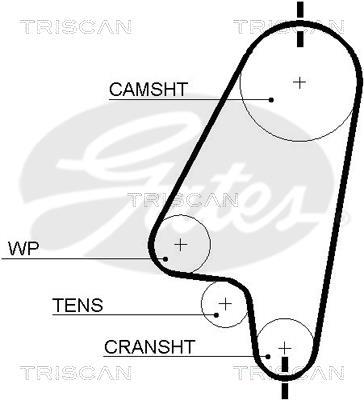 Kit de distribution Triscan A/S ref. 8647 24009
