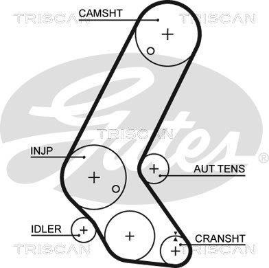Kit de distribuição Triscan A/S ref. 8647 24030