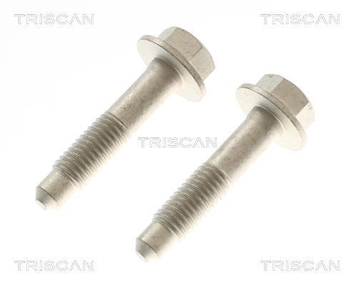 Amortecedor de choques Triscan A/S ref. 8705 81201