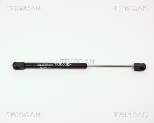 Vérin (Vérin de hayon) Triscan A/S ref. 8710 1003