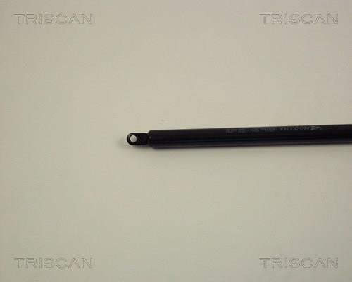 Vérin (Vérin de hayon) Triscan A/S ref. 8710 1004