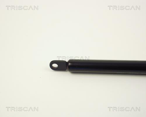 Vérin (Vérin de hayon) Triscan A/S 8710 1006