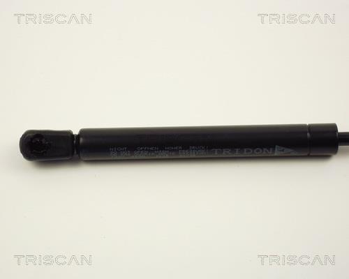 Vérin (Vérin de hayon) Triscan A/S ref. 8710 1007