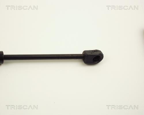 Vérin (Vérin de hayon) Triscan A/S ref. 8710 1007