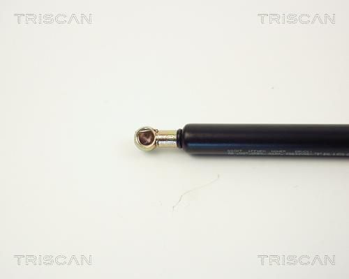 Vérin (Vérin de hayon) Triscan A/S 8710 1009