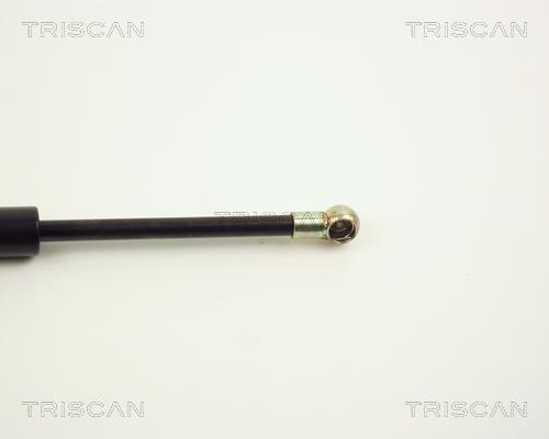 Vérin (Vérin de hayon) Triscan A/S 8710 1009