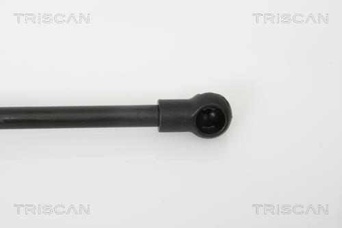 Vérin (Vérin de hayon) Triscan A/S ref. 8710 10100