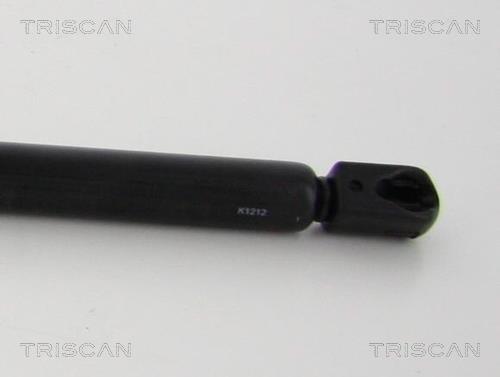 Vérin (Vérin de hayon) Triscan A/S ref. 8710 10103