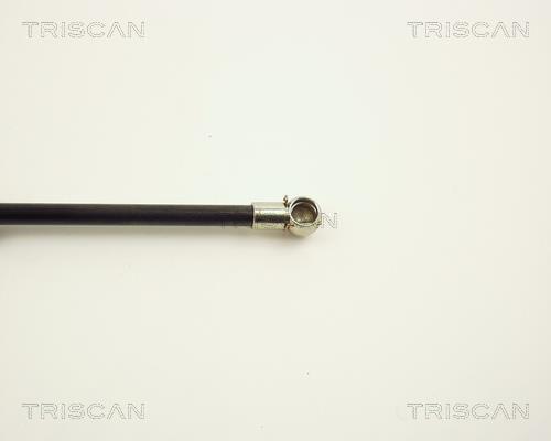Vérin (Vérin de hayon) Triscan A/S 8710 1010