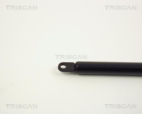 Vérin (Vérin de hayon) Triscan A/S ref. 8710 1012